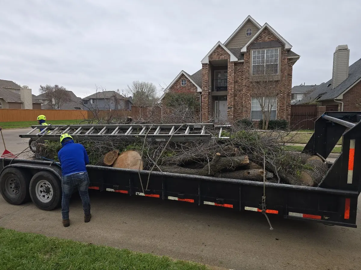 Expert Lot Clearing with proper safety equipment in Woodman